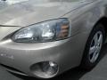 2007 Bronzestone Metallic Pontiac Grand Prix Sedan  photo #5