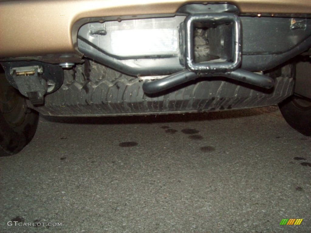 2002 TrailBlazer LTZ 4x4 - Victory Red / Medium Oak photo #11