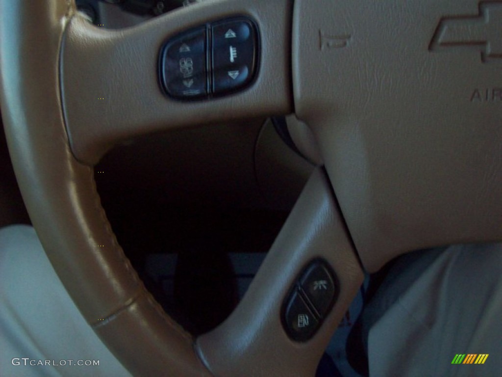 2002 TrailBlazer LTZ 4x4 - Victory Red / Medium Oak photo #16