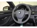 Black Steering Wheel Photo for 2012 BMW 5 Series #61615857