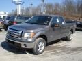 2012 Sterling Gray Metallic Ford F150 XLT SuperCab 4x4  photo #4