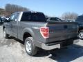 2012 Sterling Gray Metallic Ford F150 XLT SuperCab 4x4  photo #6