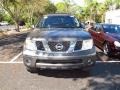 Storm Gray Metallic 2005 Nissan Pathfinder SE