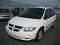 Stone White - Caravan SXT Photo No. 3
