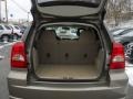 Light Khaki Metallic - Caliber SE Photo No. 6