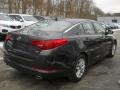 Platinum Graphite - Optima LX Photo No. 2
