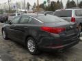 Platinum Graphite - Optima LX Photo No. 12