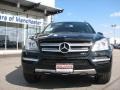 Black - GL 450 4Matic Photo No. 2