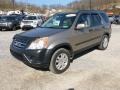 2005 Sahara Sand Metallic Honda CR-V EX 4WD  photo #3