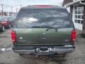 2001 Estate Green Metallic Ford Expedition XLT 4x4  photo #5