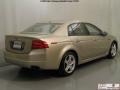 Desert Mist Metallic - TL 3.2 Photo No. 23