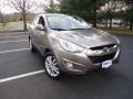 Chai Bronze - Tucson Limited AWD Photo No. 1