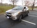 Chai Bronze - Tucson Limited AWD Photo No. 3