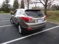 Chai Bronze - Tucson Limited AWD Photo No. 5