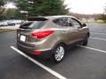 Chai Bronze - Tucson Limited AWD Photo No. 7
