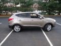 Chai Bronze - Tucson Limited AWD Photo No. 8