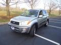 Vintage Gold - RAV4 4WD Photo No. 3