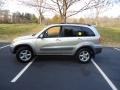 Vintage Gold - RAV4 4WD Photo No. 4