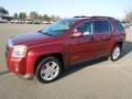 Merlot Jewel Metallic - Terrain SLT Photo No. 1