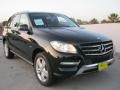 Black - ML 350 4Matic Photo No. 1