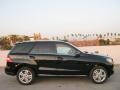 Black - ML 350 4Matic Photo No. 3