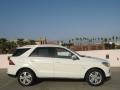 Arctic White - ML 350 4Matic Photo No. 3