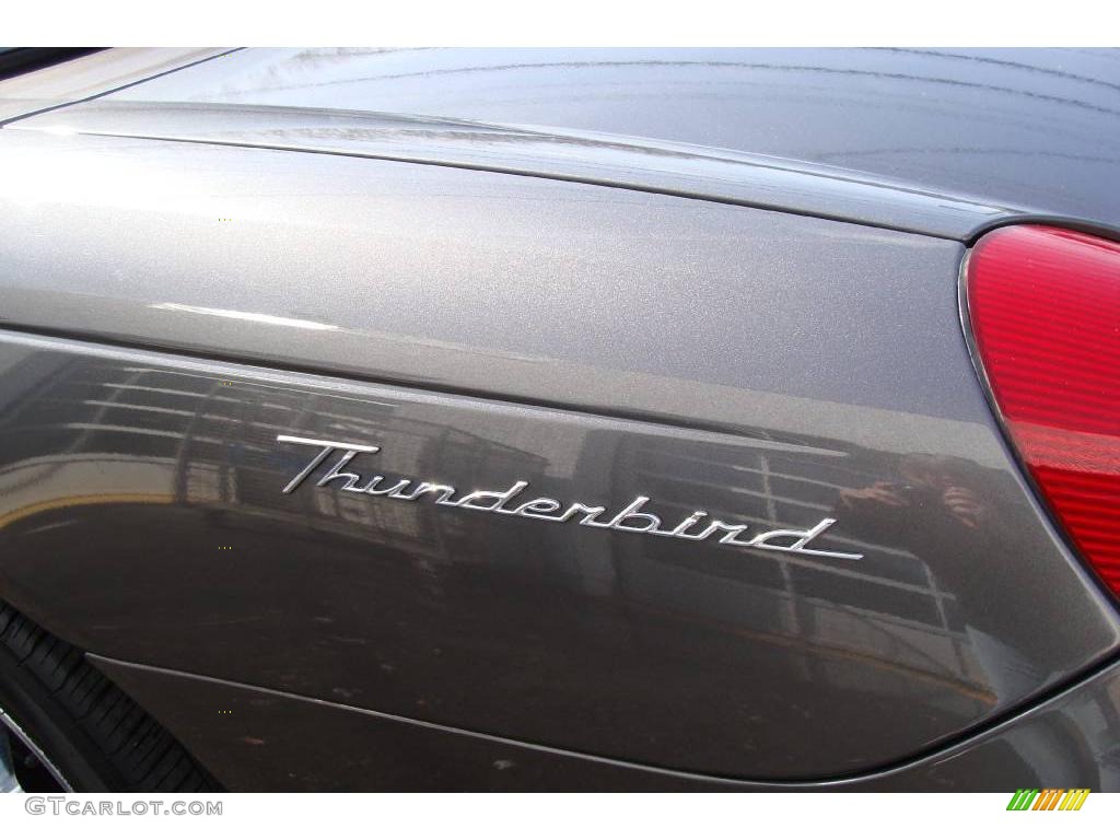 2003 Thunderbird Premium Roadster - Mountain Shadow Grey / Black Ink photo #13