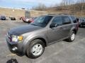 2012 Sterling Gray Metallic Ford Escape XLT 4WD  photo #5