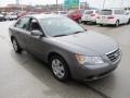 Willow Gray - Sonata GLS Photo No. 9