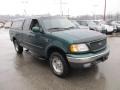 Amazon Green Metallic - F150 XLT Extended Cab 4x4 Photo No. 9