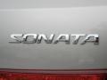 Golden Beige - Sonata GLS V6 Photo No. 9