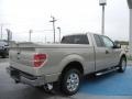 2010 Pueblo Gold Metallic Ford F150 XLT SuperCab  photo #5