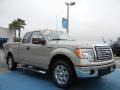 2010 Pueblo Gold Metallic Ford F150 XLT SuperCab  photo #7