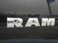 2009 Brilliant Black Crystal Pearl Dodge Ram 1500 TRX4 Crew Cab 4x4  photo #9