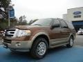 2012 Golden Bronze Metallic Ford Expedition XLT  photo #1