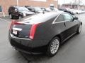 Black Raven - CTS Coupe Photo No. 4