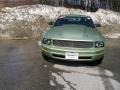 2005 Legend Lime Metallic Ford Mustang V6 Deluxe Coupe  photo #7