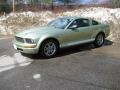 2005 Legend Lime Metallic Ford Mustang V6 Deluxe Coupe  photo #8
