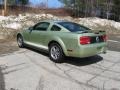 2005 Legend Lime Metallic Ford Mustang V6 Deluxe Coupe  photo #10