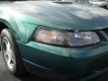 2000 Amazon Green Metallic Ford Mustang V6 Coupe  photo #2