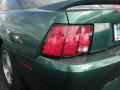 2000 Amazon Green Metallic Ford Mustang V6 Coupe  photo #7