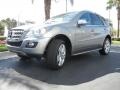 Palladium Silver Metallic - ML 350 Photo No. 2