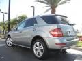 Palladium Silver Metallic - ML 350 Photo No. 8