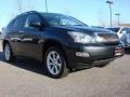 Smokey Granite - RX 350 AWD Photo No. 1