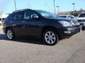 Smokey Granite - RX 350 AWD Photo No. 2
