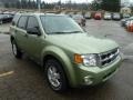 Kiwi Green Metallic - Escape XLT V6 4WD Photo No. 6