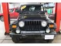 Black Clearcoat - Wrangler Rubicon 4x4 Photo No. 9