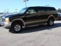 2001 Black Ford Excursion Limited 4x4  photo #5