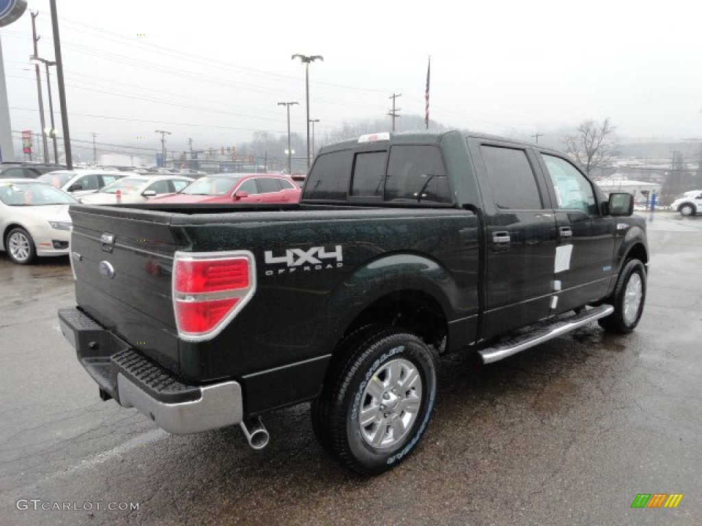 2012 F150 XLT SuperCrew 4x4 - Green Gem Metallic / Steel Gray photo #4