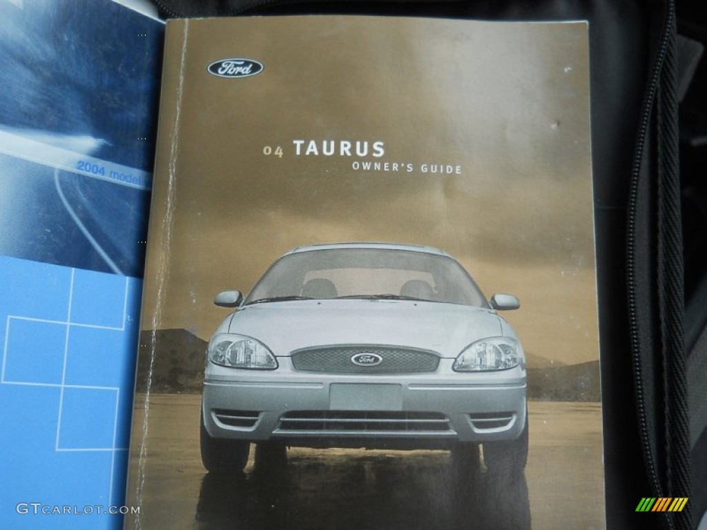 2004 Taurus SE Sedan - Dark Shadow Grey Metallic / Medium Graphite photo #18